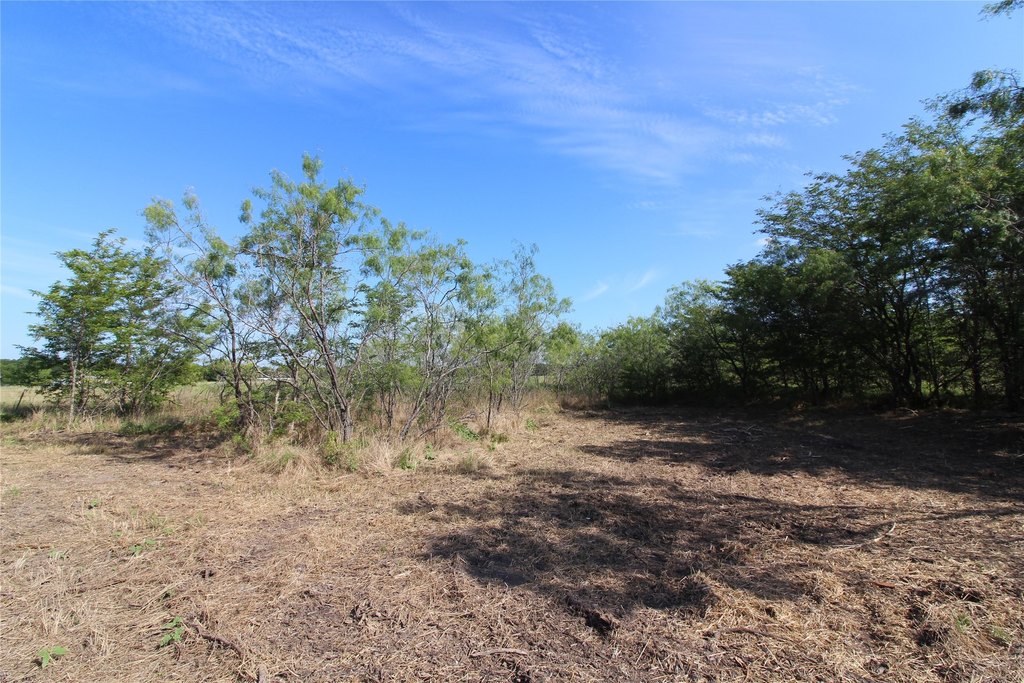 Picture 12