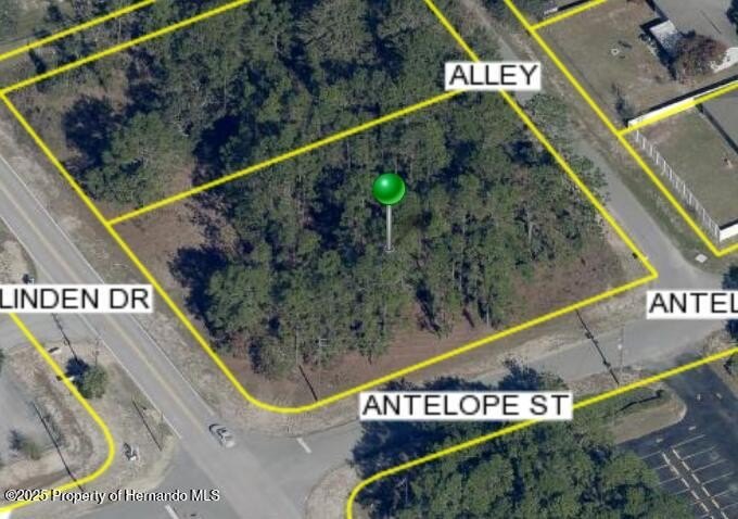Commercial Land in Spring Hill