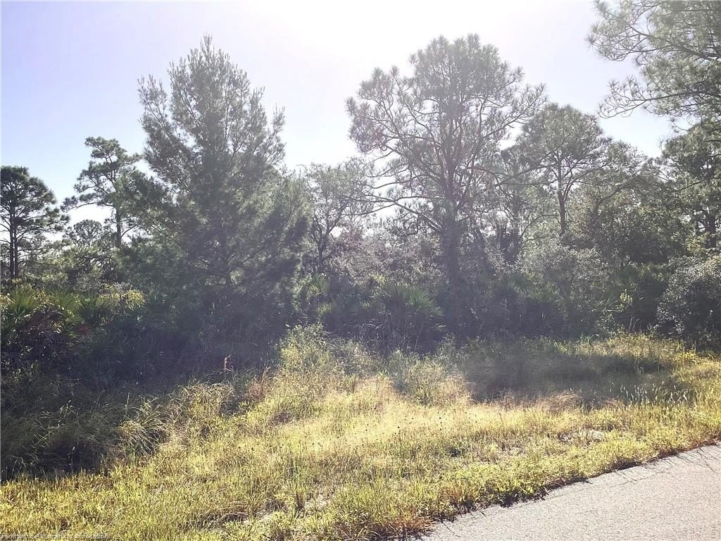 Residential Lot in Lake Placid