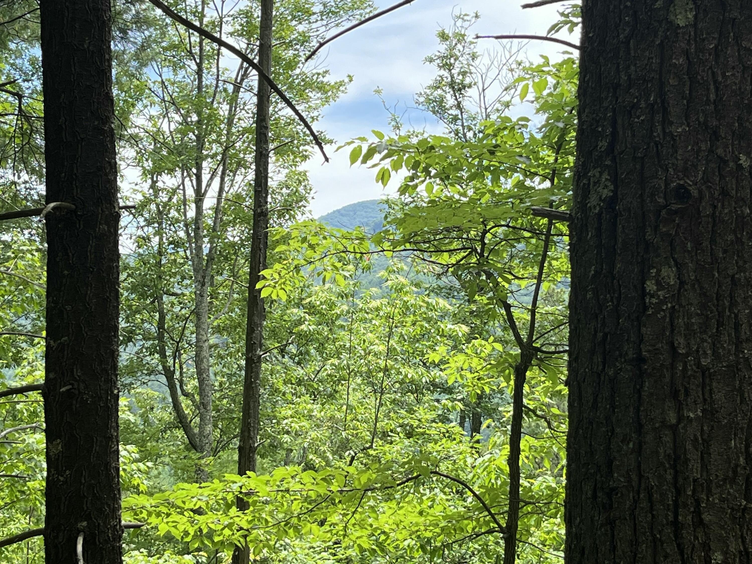 87 Acres in Smoky Mountains