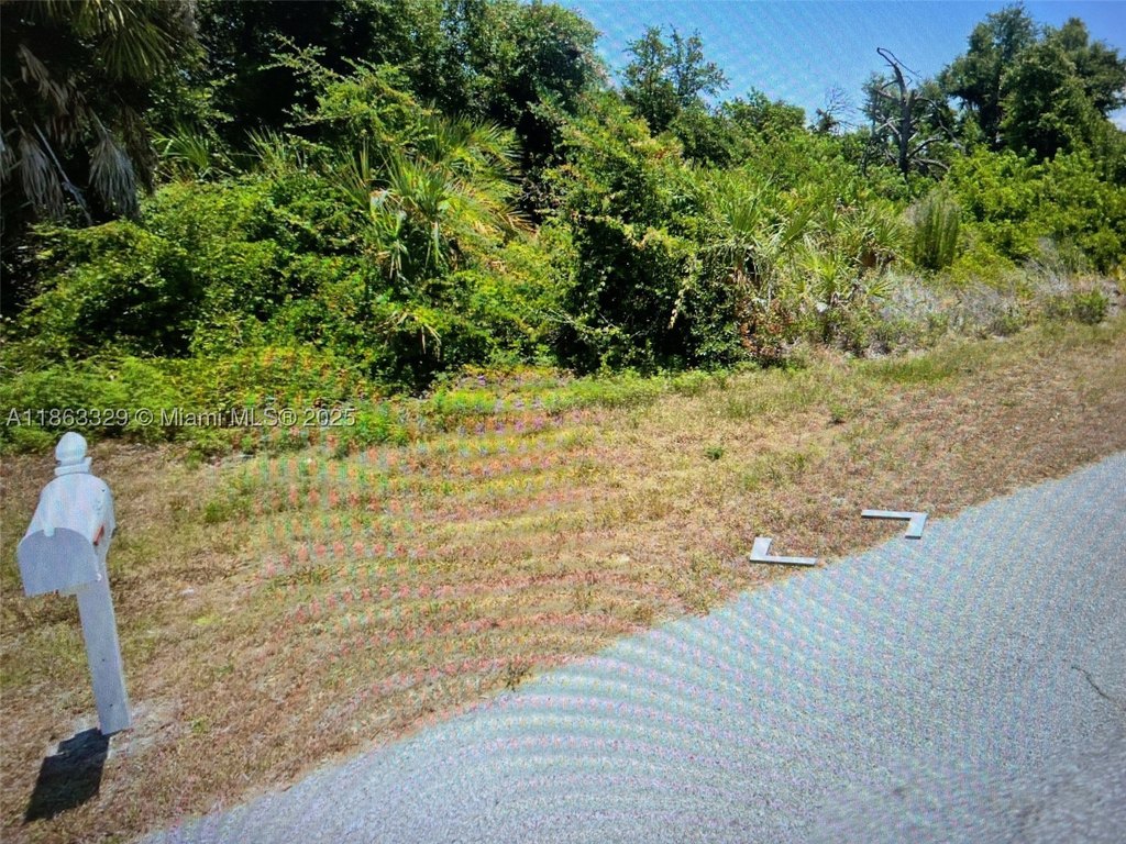 Picture 3