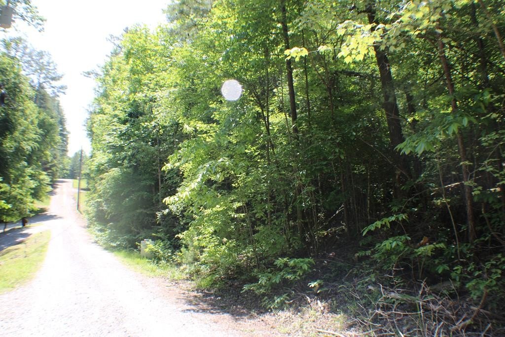 Picture 13
