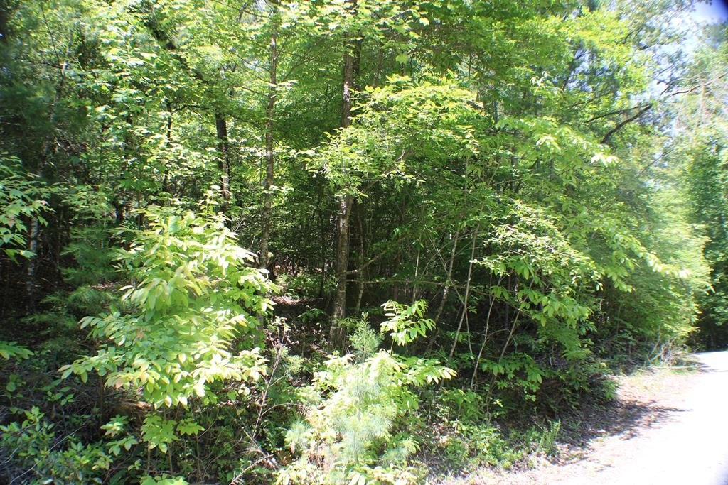Picture 12
