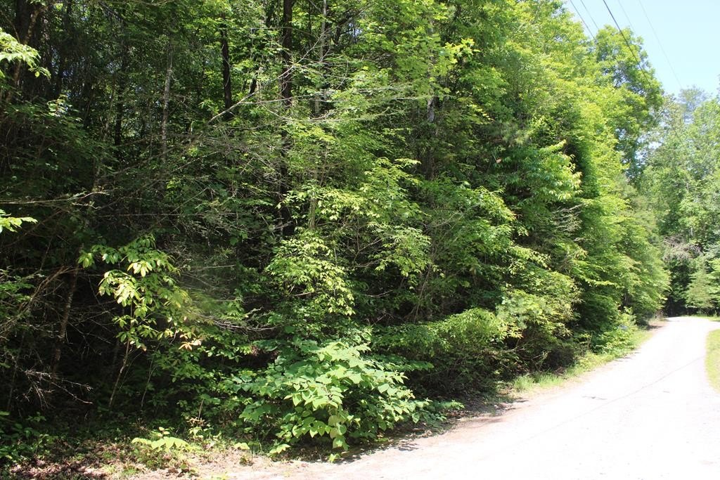 Picture 5