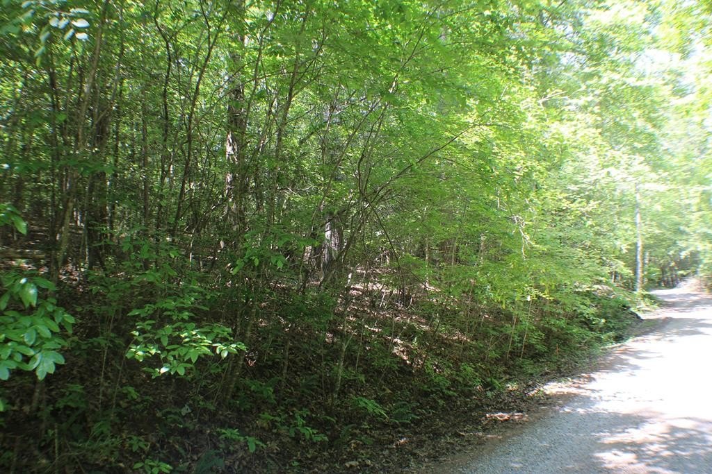Picture 16
