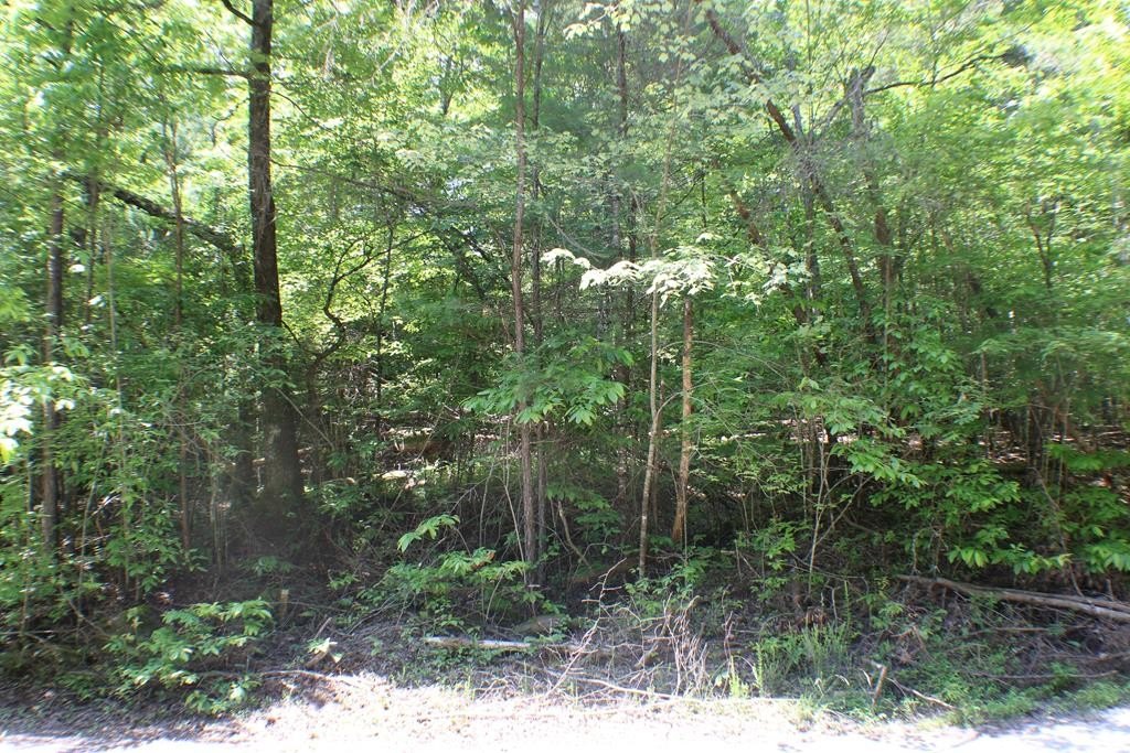 Picture 10