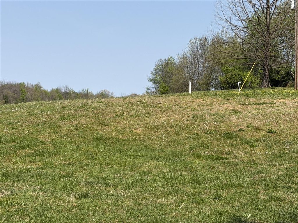 Picture 13