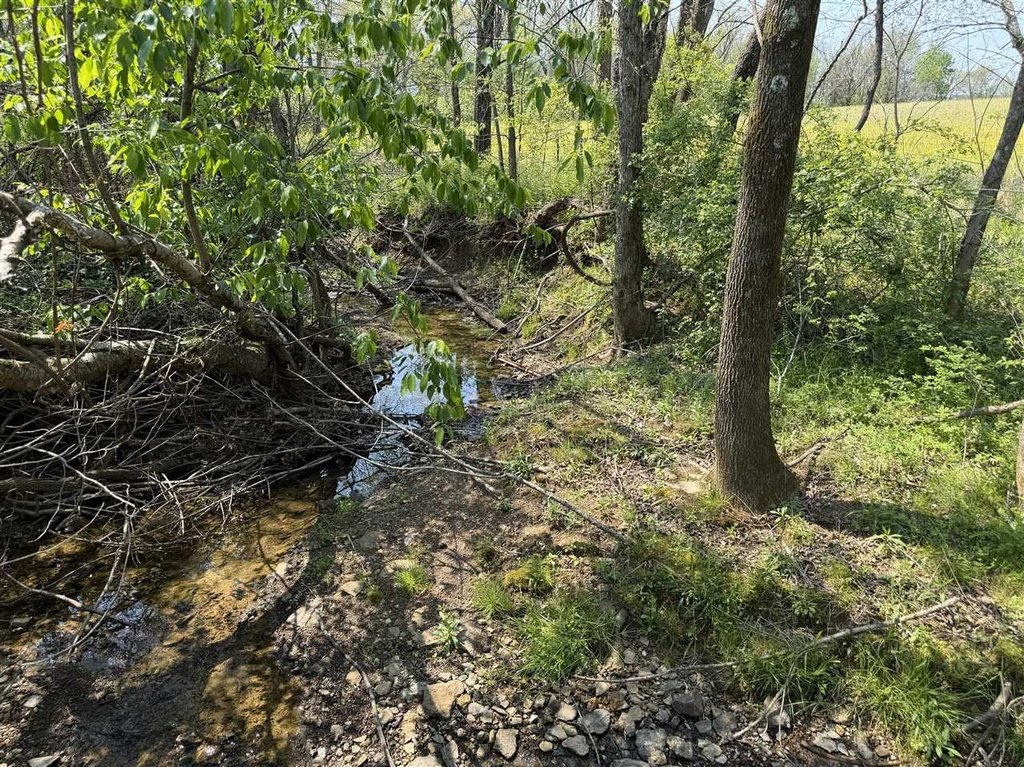 Picture 15