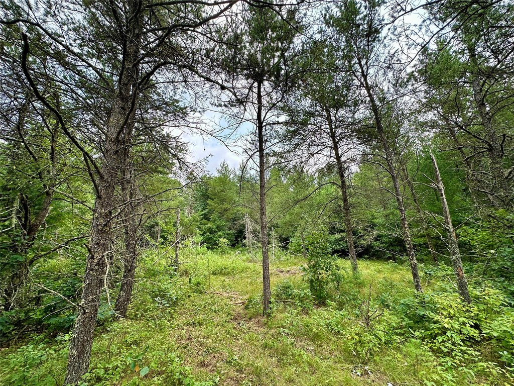 Picture 25