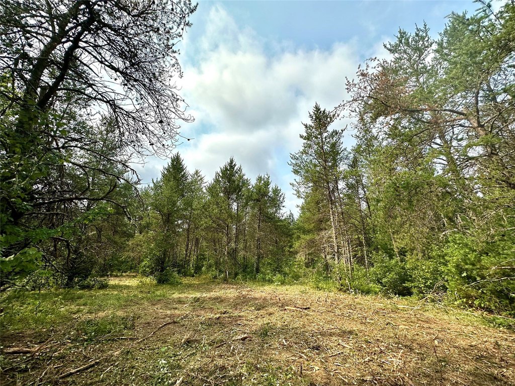 Picture 22