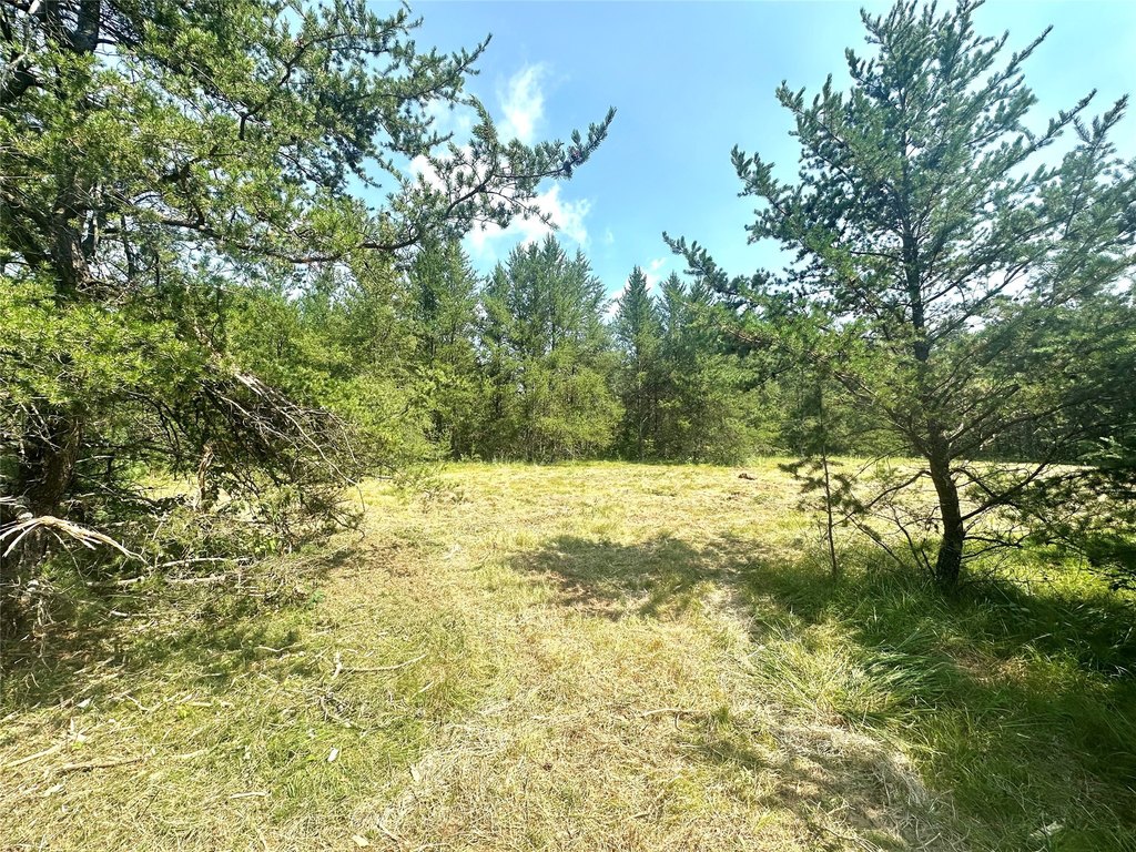 Picture 20