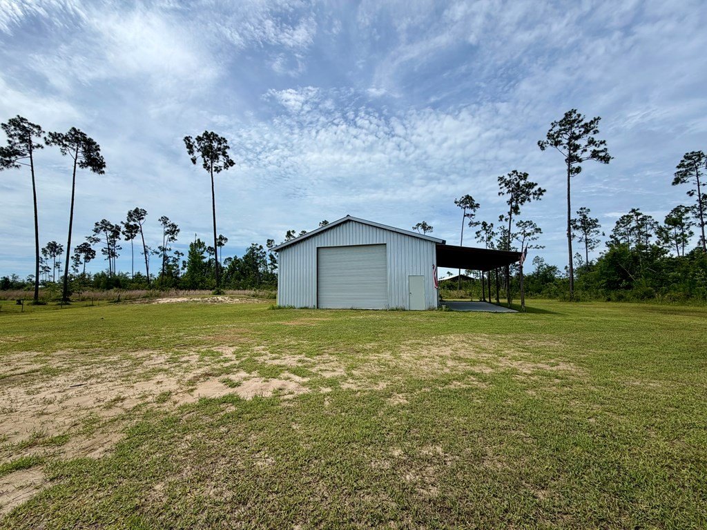 Picture 5
