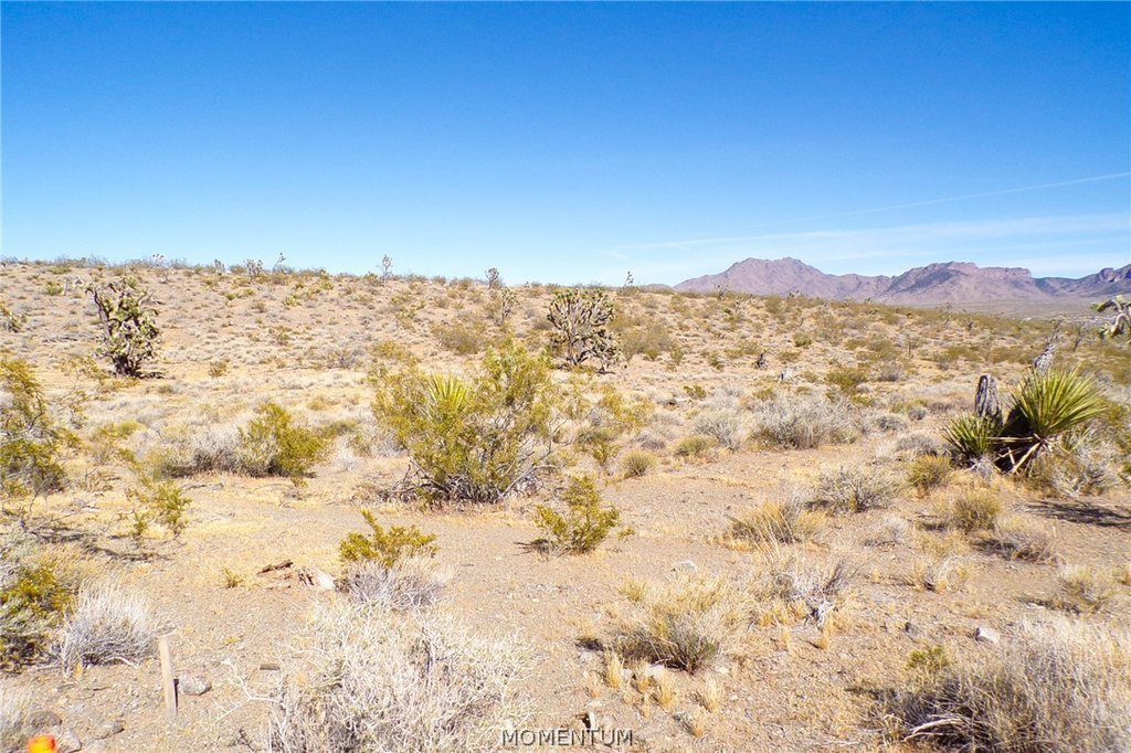 Picture 15