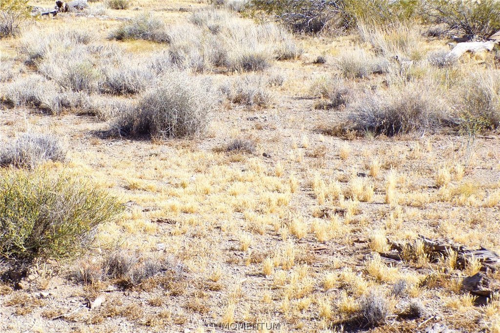 Picture 32