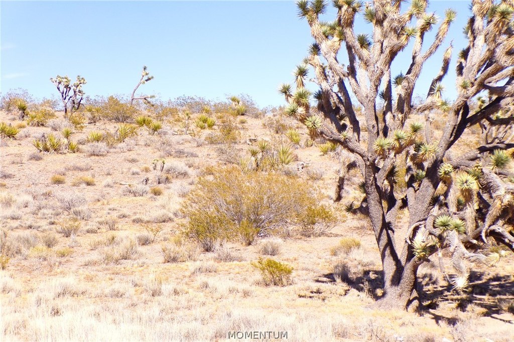 Picture 30