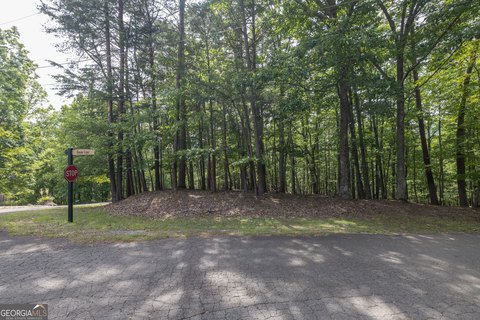 Residential Lot in Lake Arrowhead