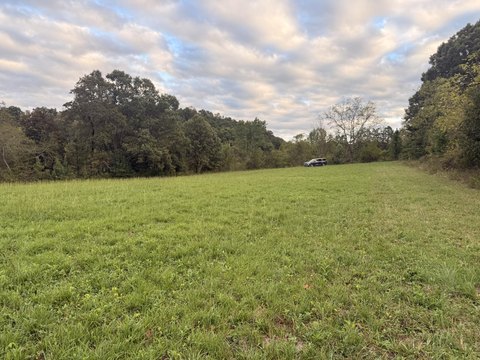 Land, East Bernstadt, KY