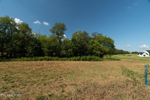 Lots & Acreage, Seymour, TN