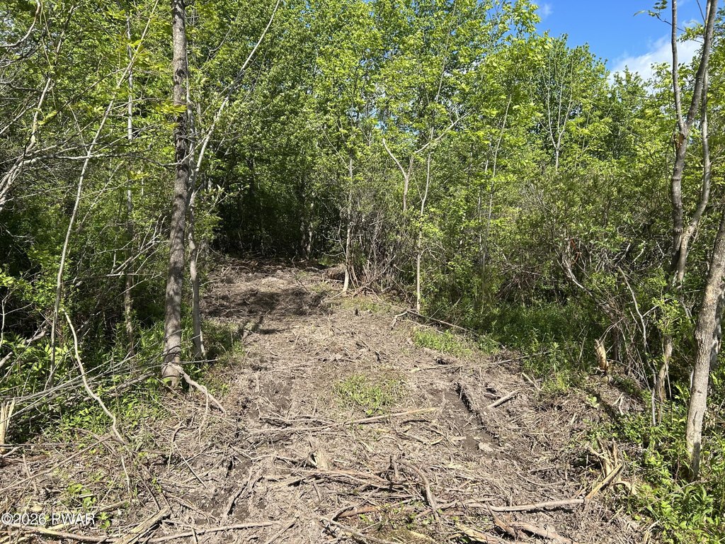 Picture 20