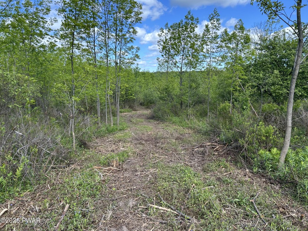 Picture 16