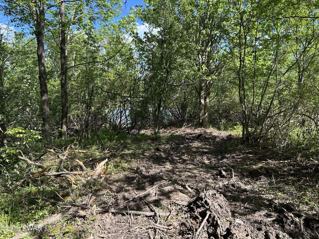 Picture 22