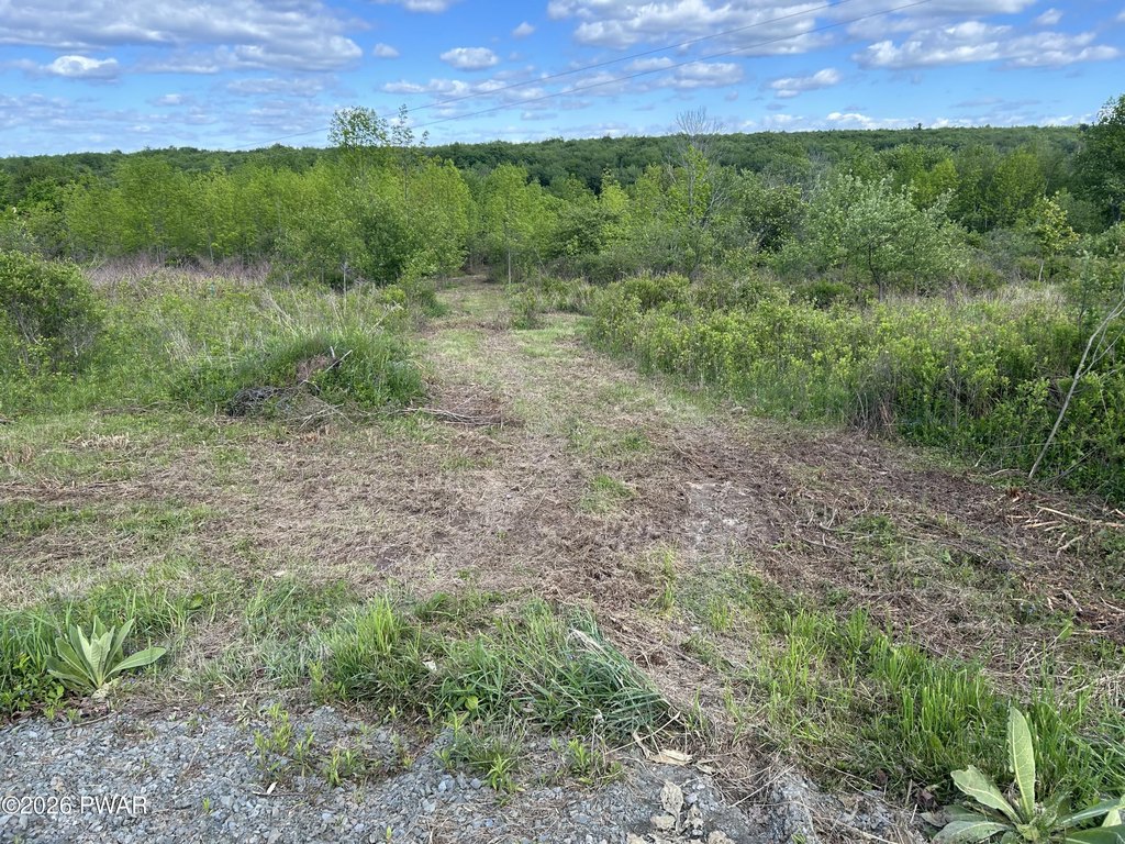 Picture 14