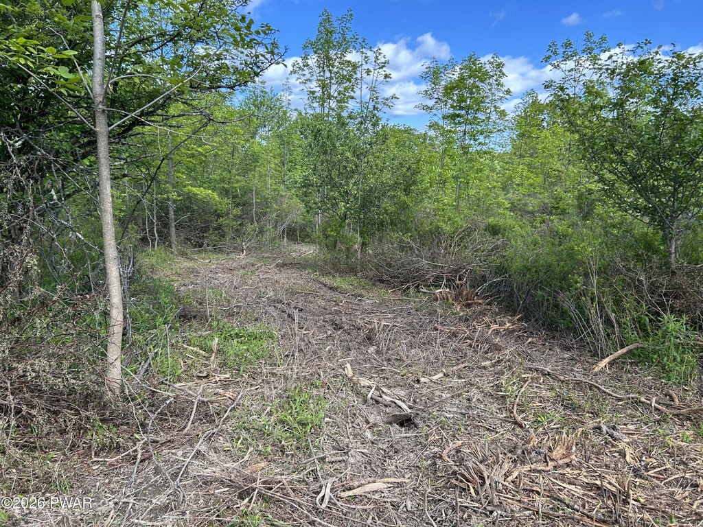 Picture 19