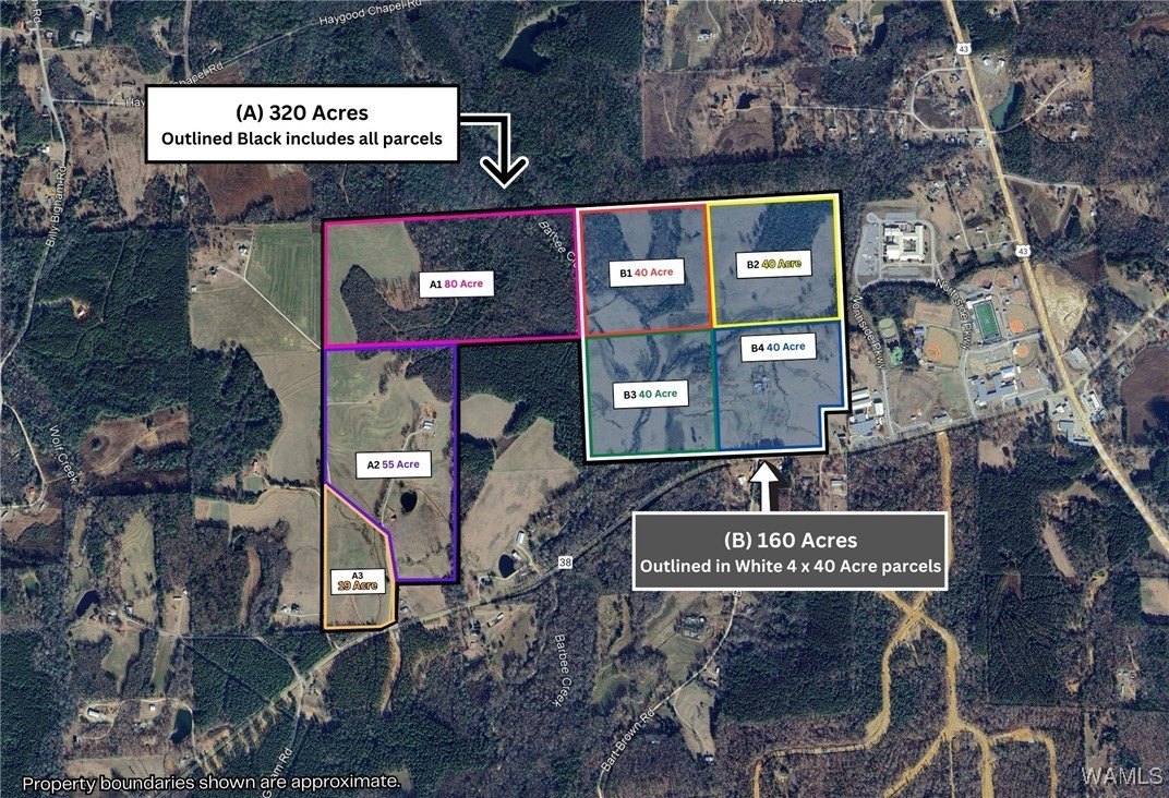 80 Acres Land in Berry, AL