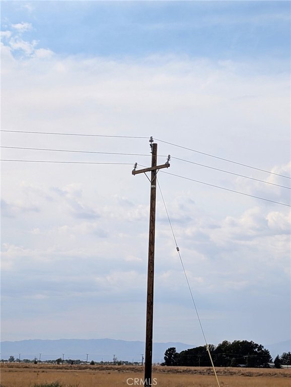 Picture 5