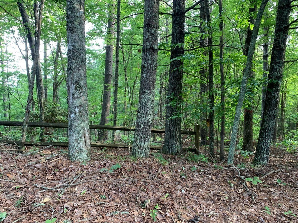 Picture 23