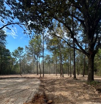 LAND - Independence, LA