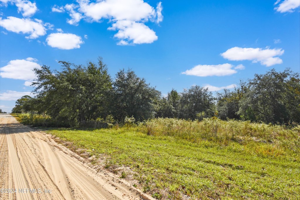 Picture 10