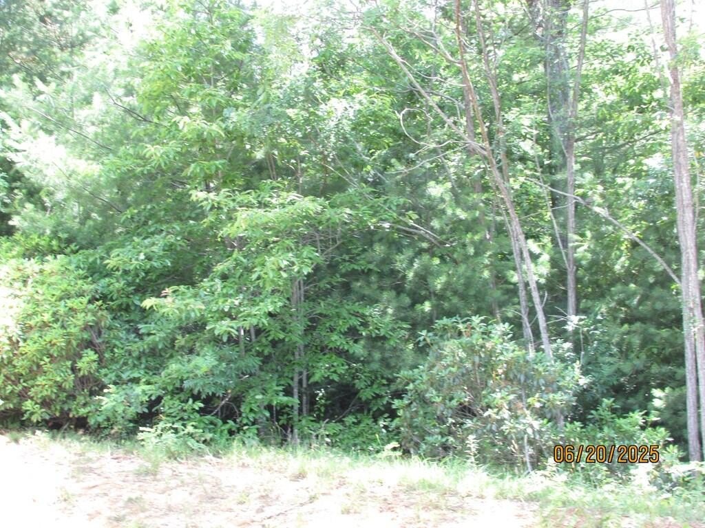 Picture 4