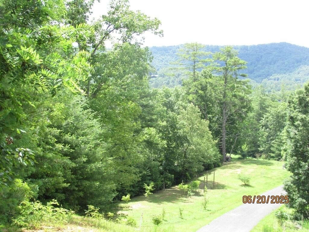 Picture 7