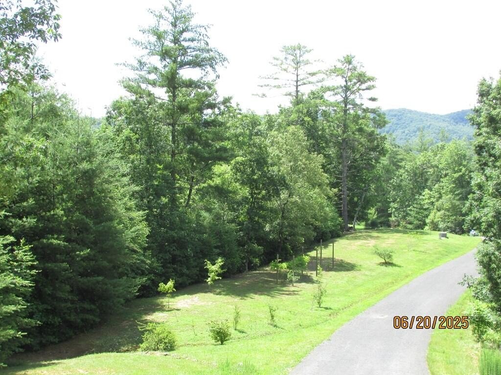 Picture 3