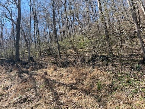 Holiday Island Land with Views