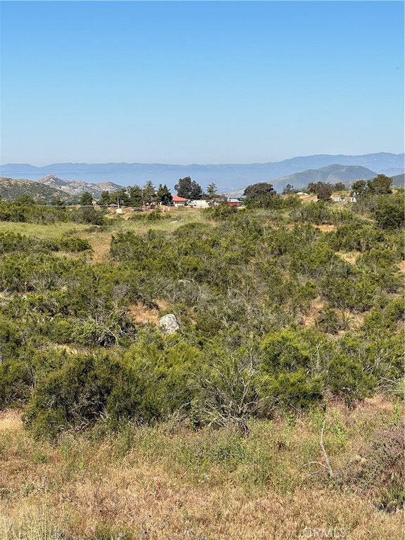 Picture 10