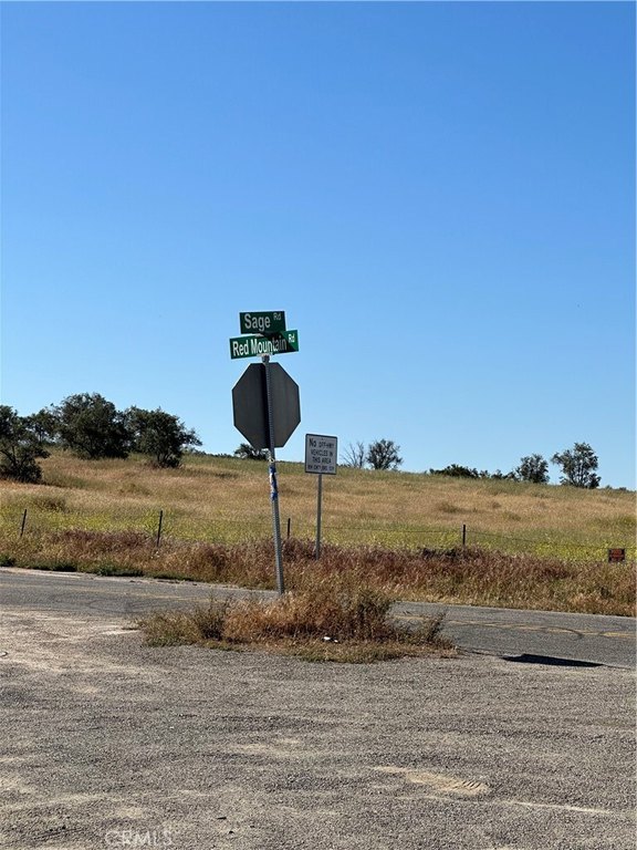 Picture 32
