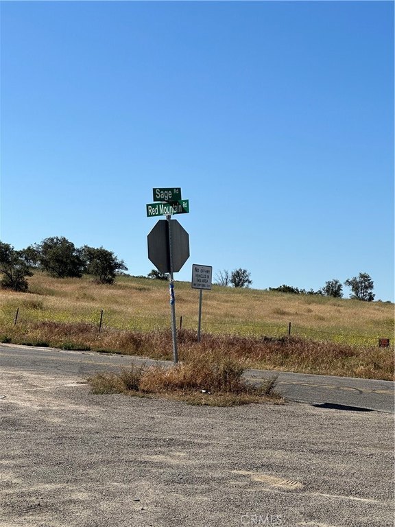 Picture 33
