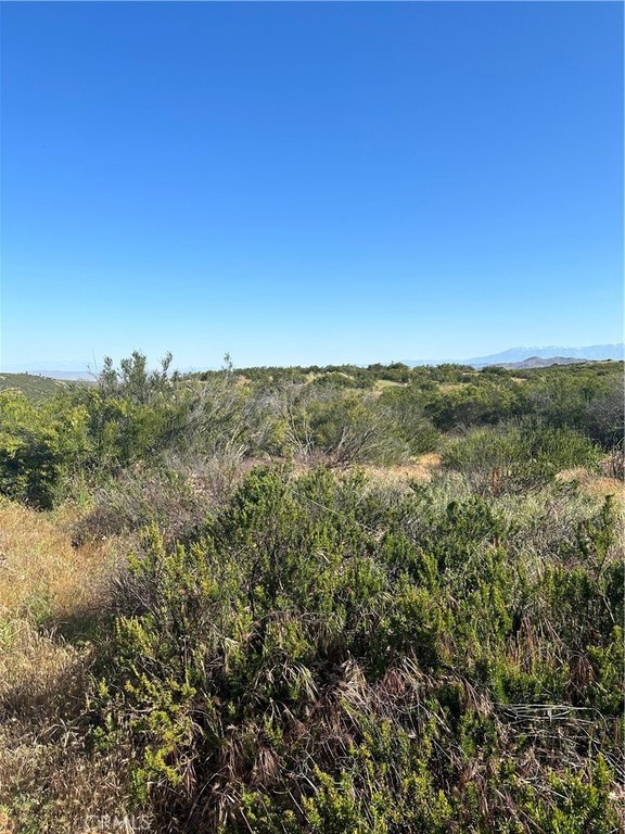 Picture 25