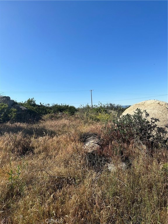 Picture 24