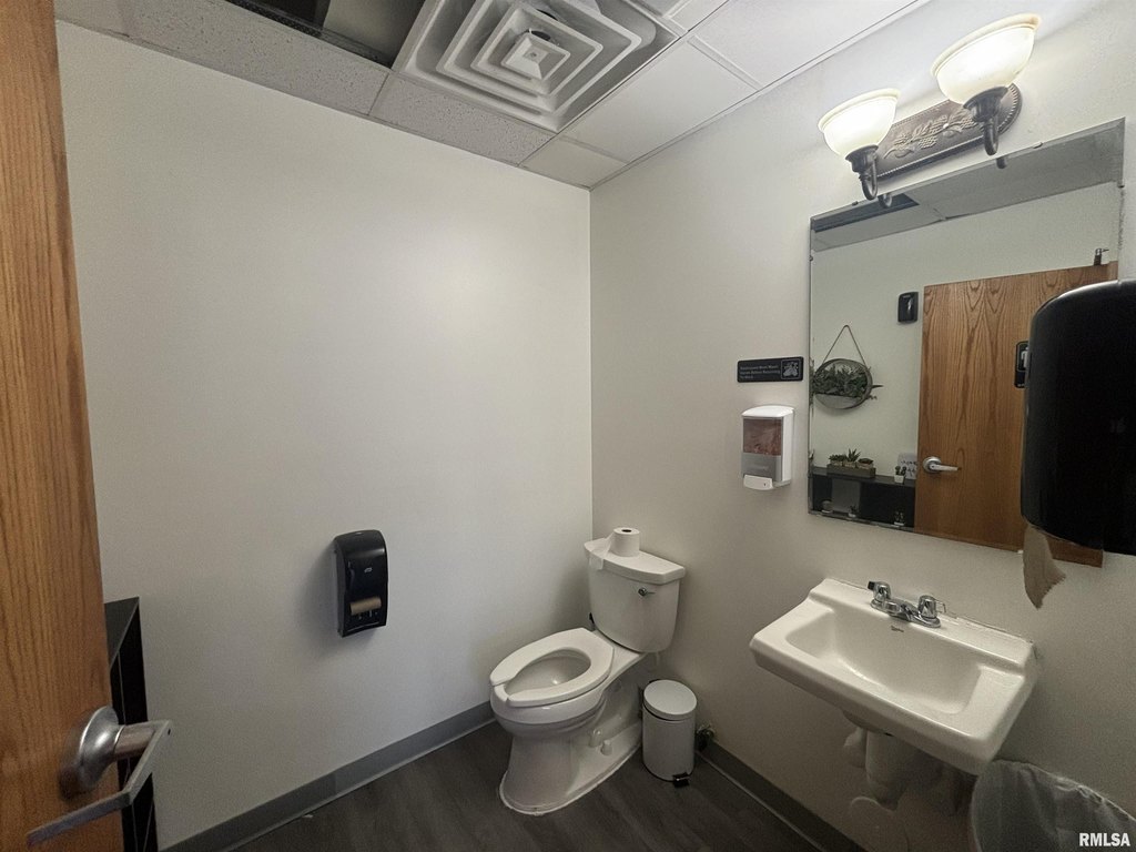 Picture 8