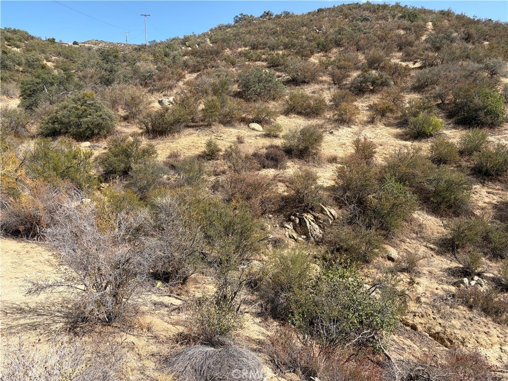 Picture 27