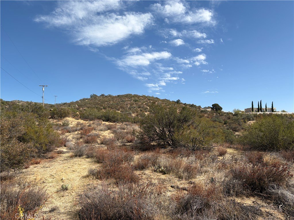 Picture 35