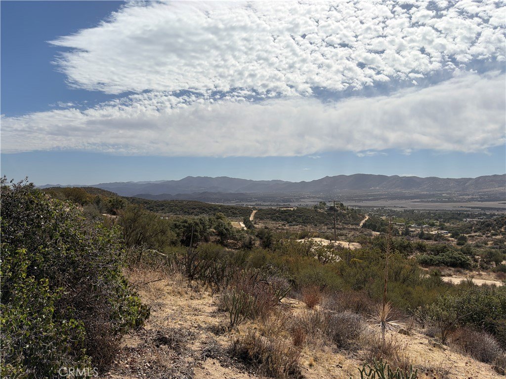 Picture 40