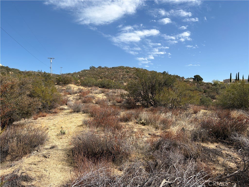 Picture 34