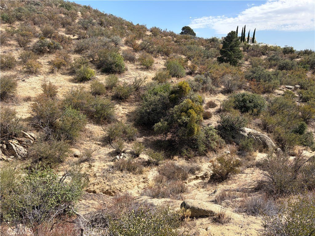 Picture 26