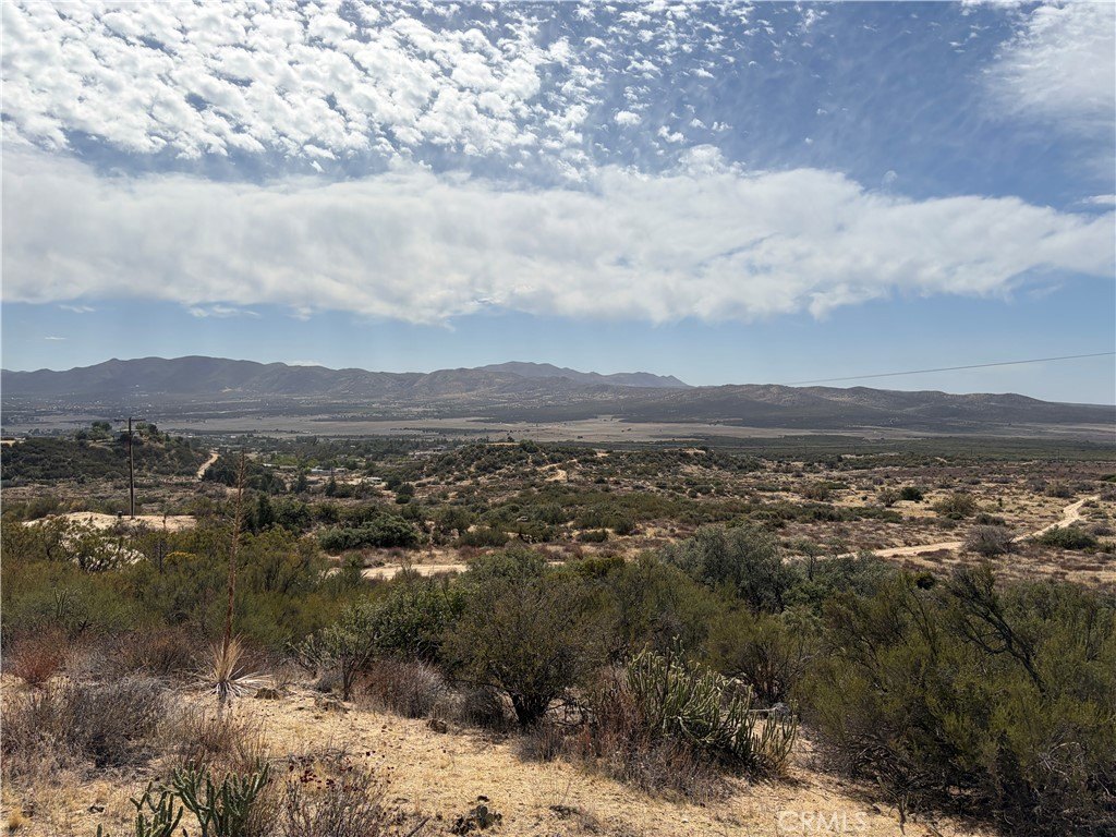 Picture 39
