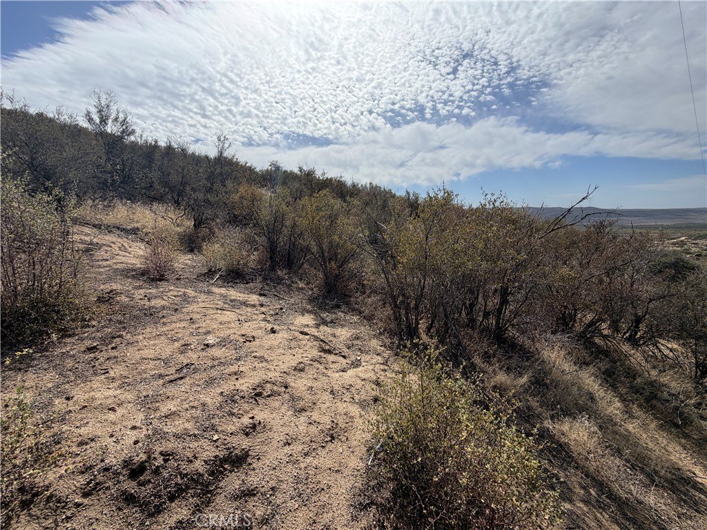 Picture 16