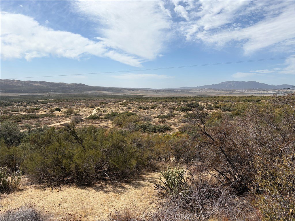 Picture 38